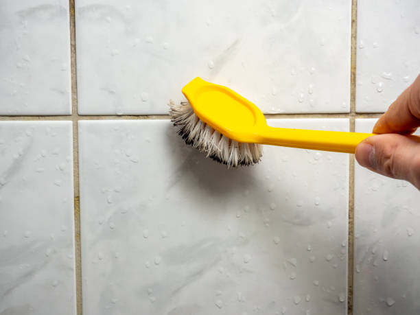 Best Residential Mold Removal  in Torrington, WY