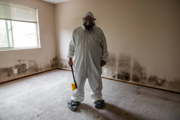 Crawl Space Mold Removal in Torrington, WY
